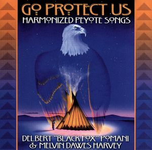 【輸入盤】Go Protest Us