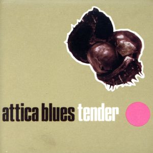 【輸入盤】Tender