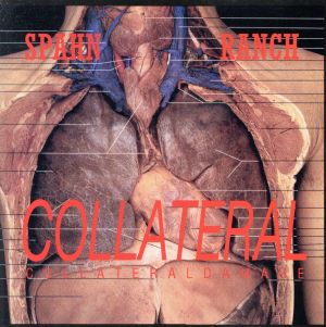 【輸入盤】Collateral Damage