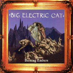 【輸入盤】Burning Embers