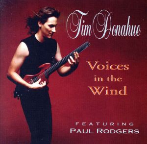 【輸入盤】Voices in the Wind