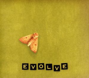 【輸入盤】Evolve