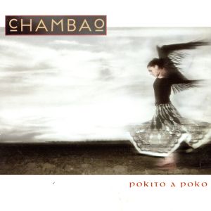 【輸入盤】Pokito a Poko (Arg)