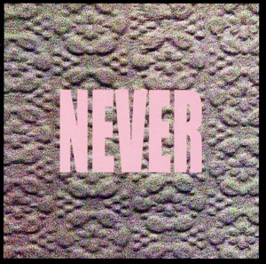 【輸入盤】Never