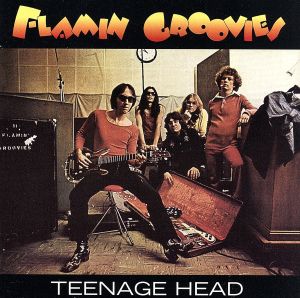 【輸入盤】Teenage Head