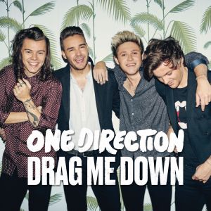 【輸入盤】Drag Me Down