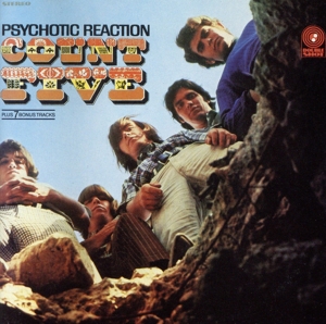 【輸入盤】Psychotic Reaction