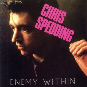 【輸入盤】Enemy Within