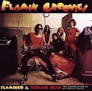 【輸入盤】Flamingo / Teenage Head