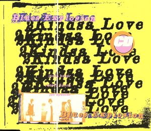 【輸入盤】2 Kindsa Love