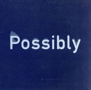 【輸入盤】Possibly Maybe Pt.1