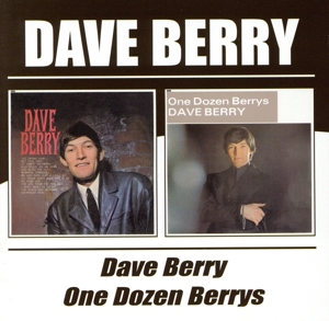 【輸入盤】Dave Berry / One Dozen Berrys