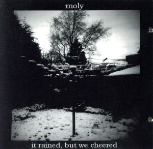 【輸入盤】It Rained, But We Cheered