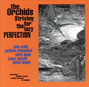 【輸入盤】Striving for the Lazy Perfection