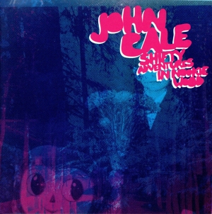 【輸入盤】Shifty Adentures in Nookie Wood