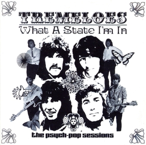 【輸入盤】What a State I'm in