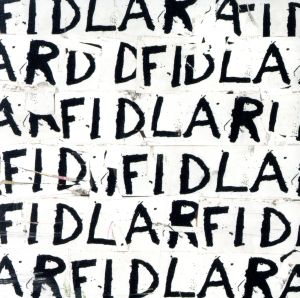 【輸入盤】Fidlar