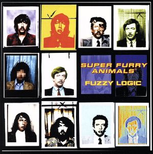 【輸入盤】Fuzzy Logic