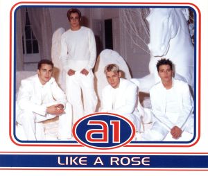 【輸入盤】Like a Rose