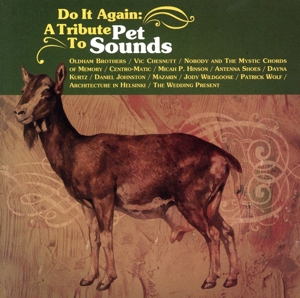 【輸入盤】Do It Again: A Tribute to Pet Sounds