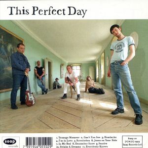 【輸入盤】This Perfect Day