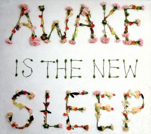 【輸入盤】Awake Is the New Sleep