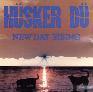 【輸入盤】New Day Rising