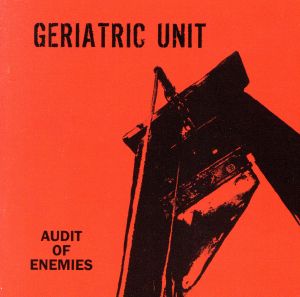 【輸入盤】Audit of Enemies