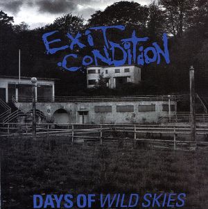 【輸入盤】Days Of Wild Skies