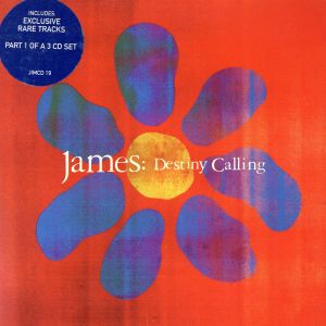 【輸入盤】Destiny Calling