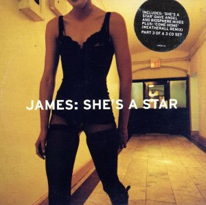 【輸入盤】She's a Star