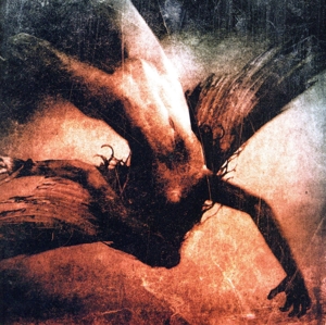 【輸入盤】Immersed