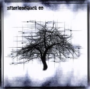 【輸入盤】AFTERFEEDBACK