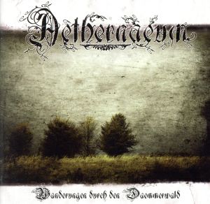 【輸入盤】Wanderungen Durch Den Daemmerwald