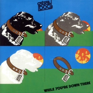 【輸入盤】While You're Down There