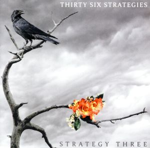 【輸入盤】Strategy Three