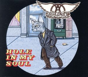 【輸入盤】Hole in My Soul