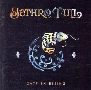 【輸入盤】Catfish Rising