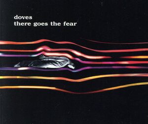 【輸入盤】There Goes the Fear