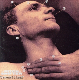 【輸入盤】Desensitized