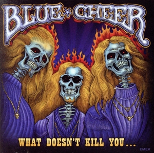 【輸入盤】What Doesn't Kill You