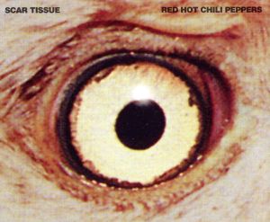 【輸入盤】Scar Tissue