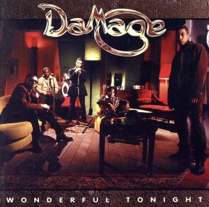 【輸入盤】Wonderful Tonight