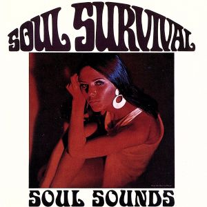 【輸入盤】Soul Sounds