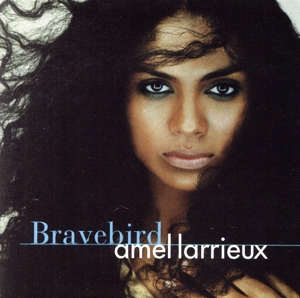 【輸入盤】Bravebird