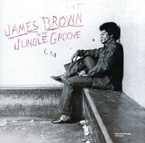 【輸入盤】In the Jungle Groove