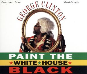 【輸入盤】Paint the White House Black / Picture This