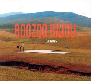 【輸入盤】Grains