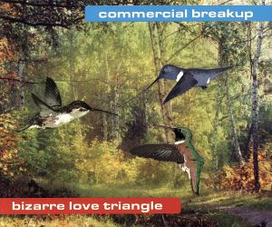 【輸入盤】Bizarre Love Triangle