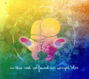 【輸入盤】In This Nest We Found Our Winged Tales